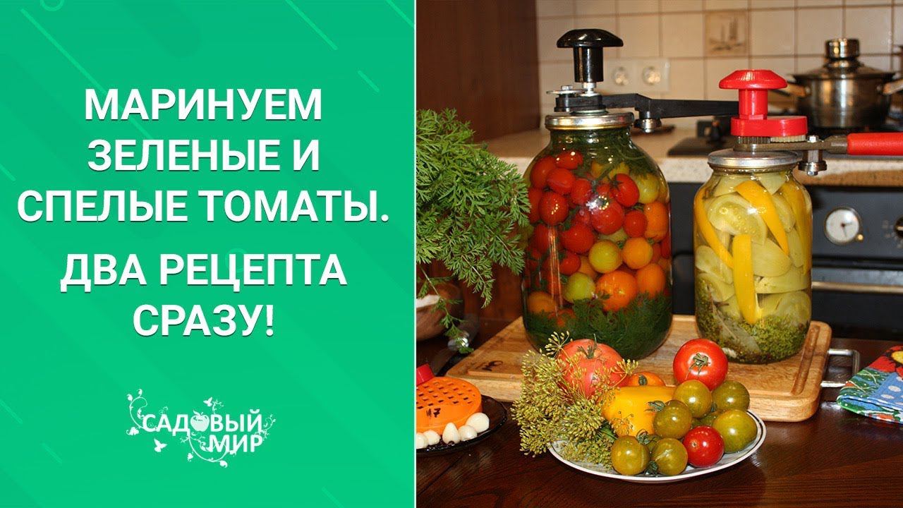 МОРКОВНУЮ БОТВУ В ДЕЛО! КОНСЕРВИРУЕМ на зиму вместе с томатами смотреть онлайн