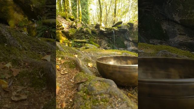 Mantra Lokah Samastah Harp смотреть онлайн