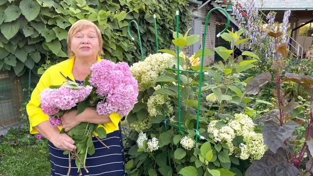 Чем пахнет ГОРТЕНЗИЯ? смотреть онлайн