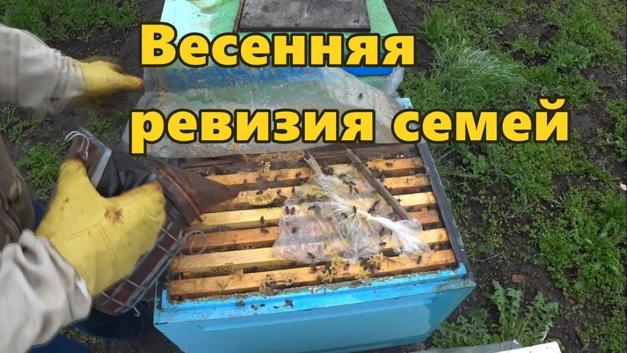 Весенняя ревизия семей. смотреть онлайн