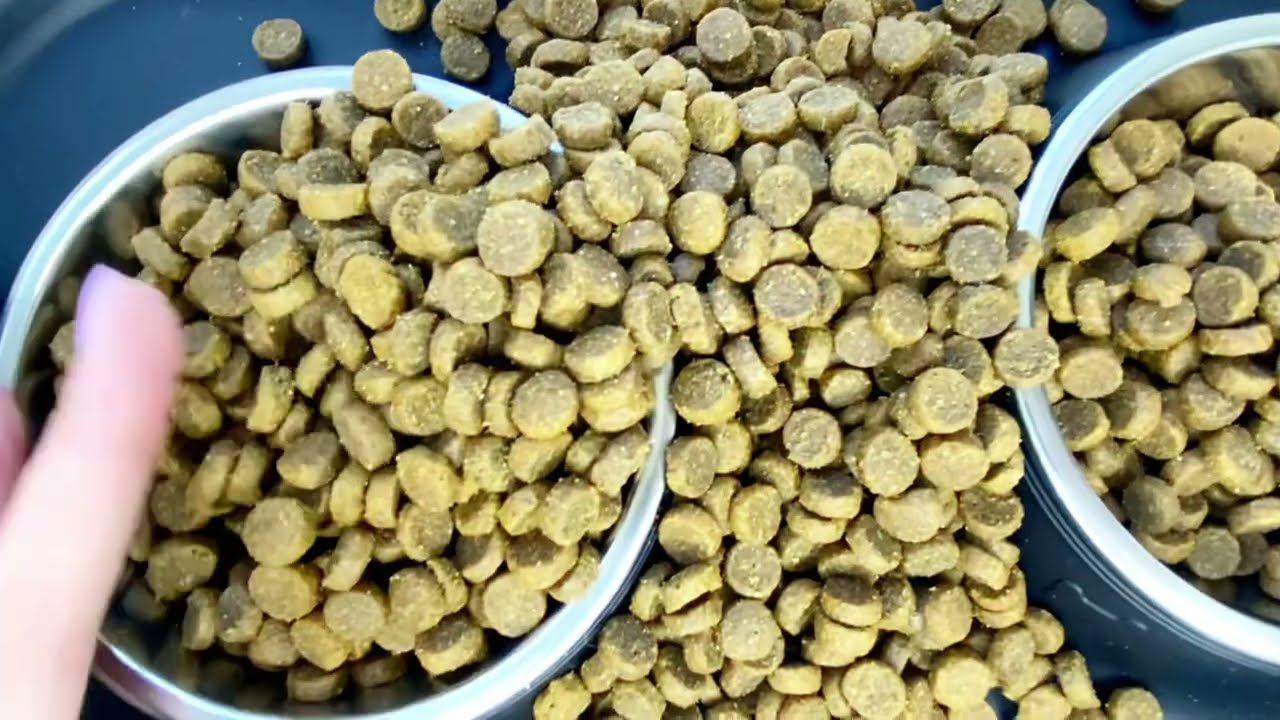 Корм для кошек PROBALANCE "SENSITIVE" смотреть онлайн