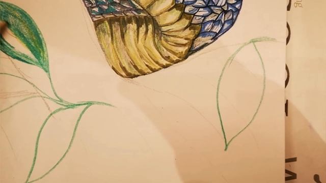 How To Draw A Snake Sketch Step By Step For Beginners| Easy Blue Snake | නිල් පාට සර්පයා| Part 5|Ar смотреть онлайн