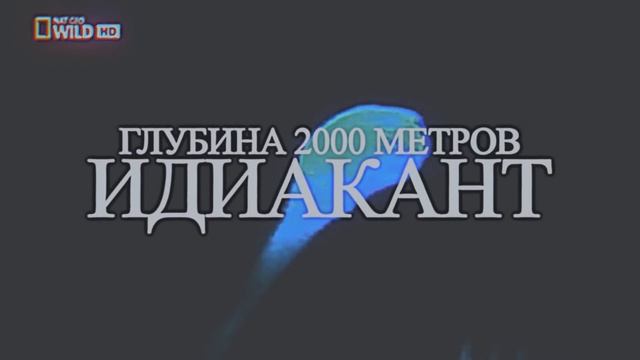 Что ты такое?! смотреть онлайн