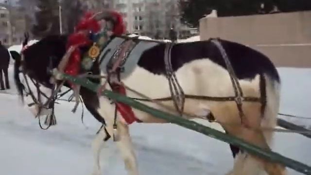 сыктывкар стефановская площадь смотреть онлайн