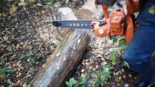 Бензопила урал 2т электрон пилит бревно Chainsaw Ural 2t electron saws a log смотреть онлайн