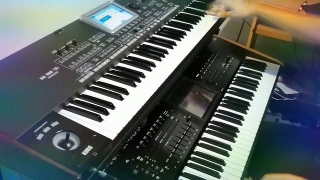 Korg pa3x le oriental accordion смотреть онлайн