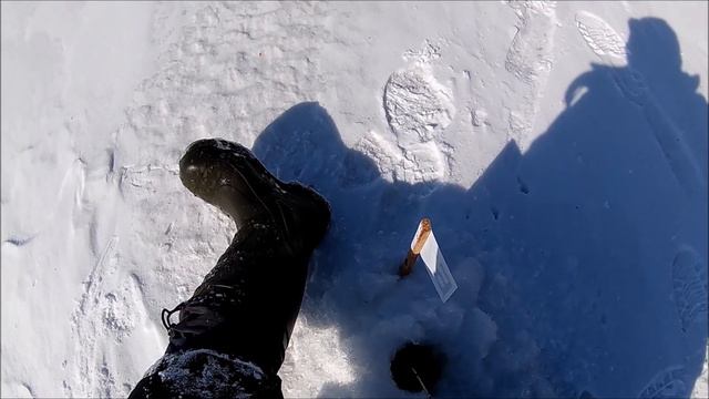 ЧРМЭ по мормышке 20 03 2016 смотреть онлайн