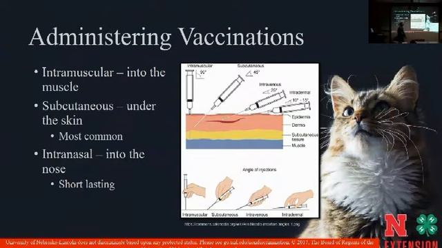 4-H Cat Club Dec 2017 смотреть онлайн