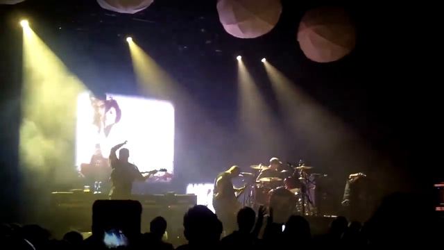 The Pixies - Dancing the Manta Ray смотреть онлайн