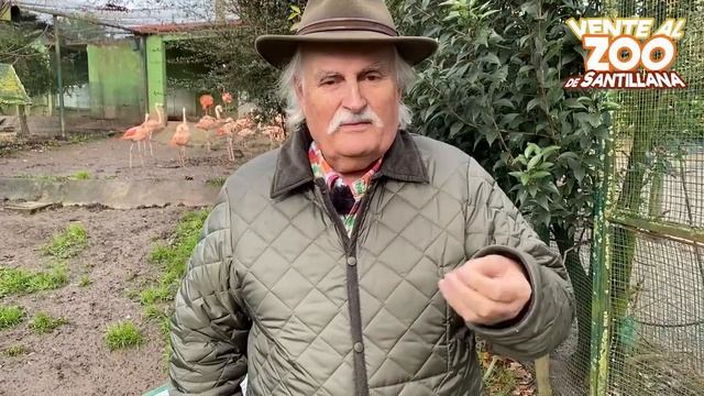 La teoría del flamenco смотреть онлайн