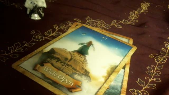 Cosmic Courtesan Oracle Card Reading- May 27, 2013- June 2, 2013 смотреть онлайн
