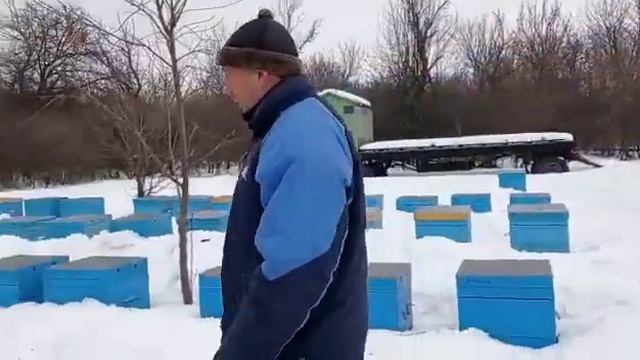 Зимовка пчел на пасеке, 2021 смотреть онлайн