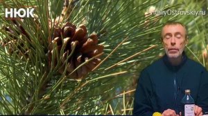 ЯБЛОЧНЫЙ УКСУС - Что Будет, Если Пить КАЖДЫЙ ДЕНЬ! Чем Полезен И Как Выбрать Хороший Яблочный Уксус