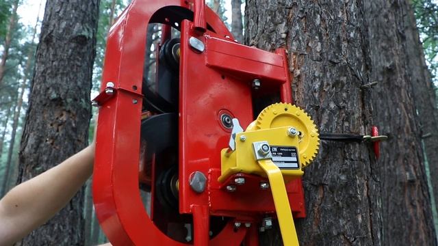 Кедротряс Тайга смотреть онлайн