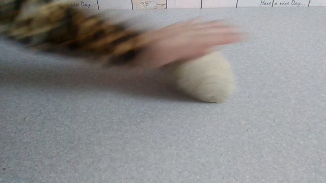 Фокусы с Картами