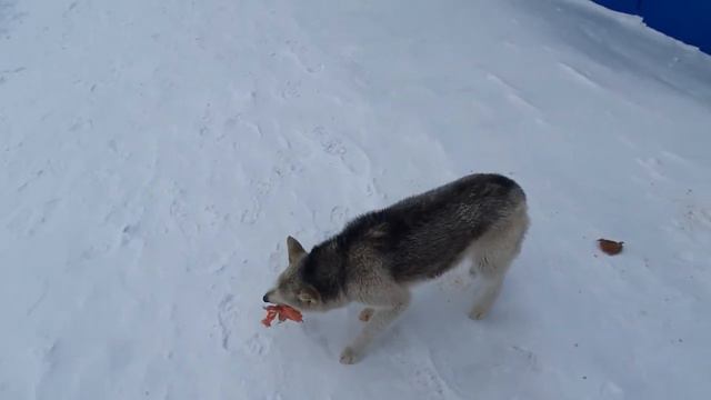 ОПЯТЬ -25. ПОСЛЕДНИЙ ДЕНЬ ЗИМЫ смотреть онлайн