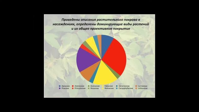 Влияние Acer negundo L. на формирование структуры растительных сообществ смотреть онлайн