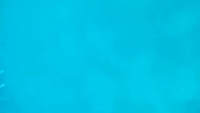 Jaws Of A Whale Shark Part 1 / Челюсти китовой акулы часть 1