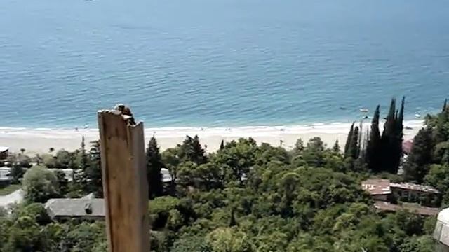 Гагры, красота