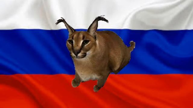 песня польская корова смотреть онлайн