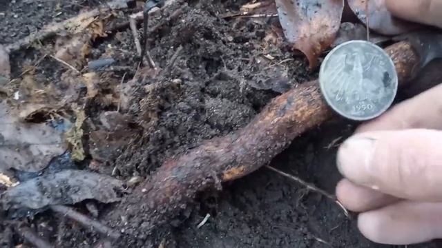 Лесной коп... Январский выход ... смотреть онлайн