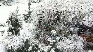 Природные явления - Развивающее видео для детей. "Умный Ребенок"
