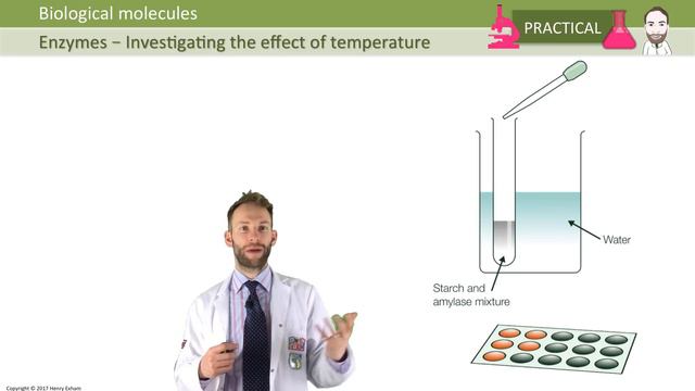 Enzymes - GCSE Biology (9-1) смотреть онлайн