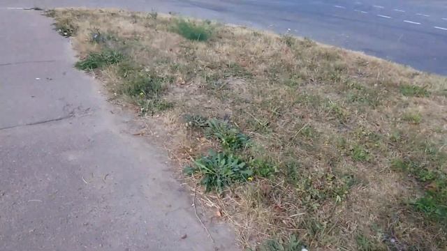 Старый МАЗ 203.068! Маршрут 7а смотреть онлайн