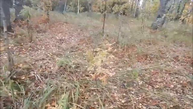 На Рыбинском ловим рыбку Я Серега Ефим и дружок смотреть онлайн