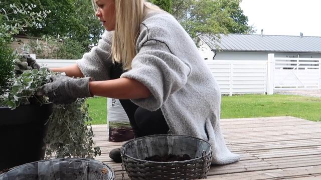 УХОД ЗА ВОЛОСАМИ! ЦВЕТЫ НА ОСЕНЬ! ГОТОВЛЮ ПИРОГИ, СОЛЁНЫЙ, ЧЕРНИЧНЫЙ и ТИРАМИСУ! смотреть онлайн