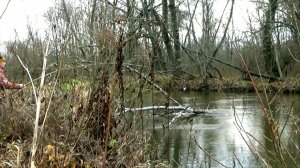 Щука затащила под коряги и я поехал за забродниками..