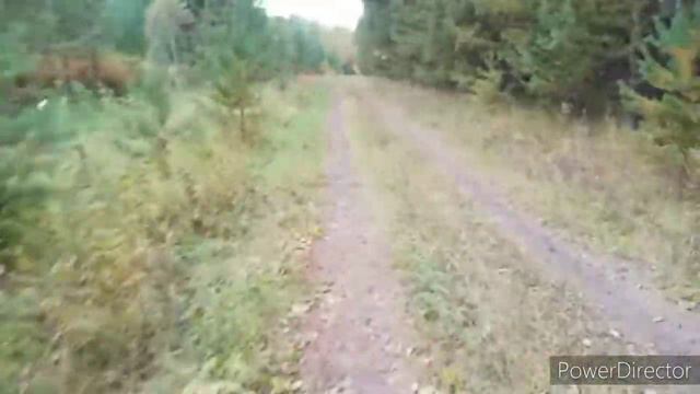 Охота на рябчика с манком!! смотреть онлайн