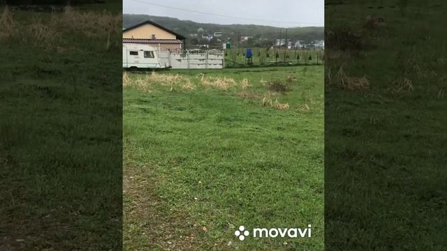 Самые дешевые участки под Анапой. #анапа #дача #недвижимость смотреть онлайн