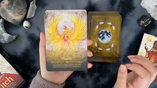Seasons of the Witch Beltane Oracle: Soon to be Released! First Impressions + Walkthrough ???✨ смотреть онлайн