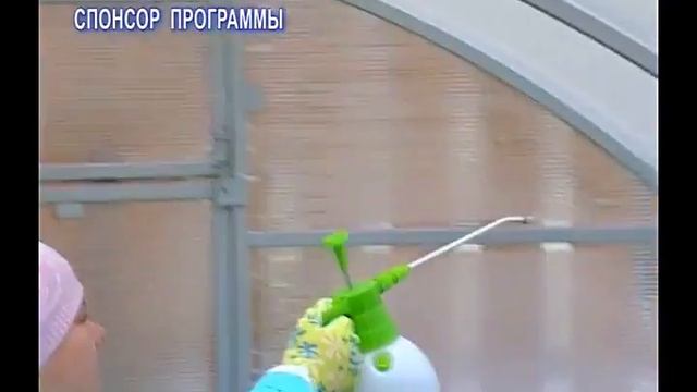 Обработка теплиц весной и осенью смотреть онлайн