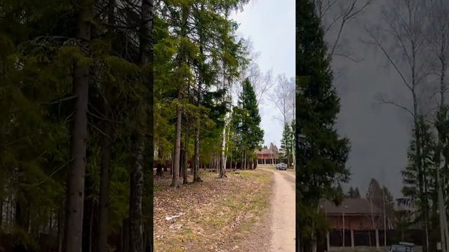 Кп Андрейково-лесное 13соток смотреть онлайн