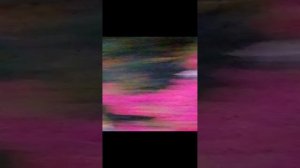 VID_20240827_194737.mp4