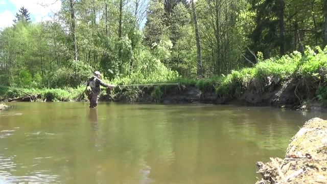 Ловля форели на нимфу. Нахлыст в Калининградской области смотреть онлайн