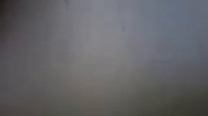 как нарисовать добермана