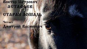 В. П. Астафьев.  Старая лошадь.  Читает Дмитрий Васянович