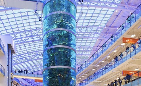 ТЦ «Авиапарк» Аквариум смотреть онлайн