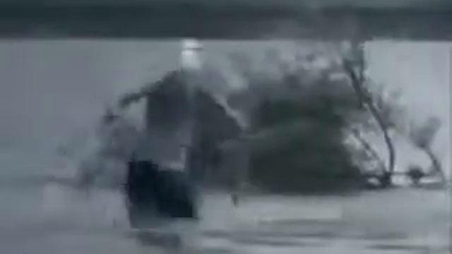 Бабуля с пакетами смотреть онлайн