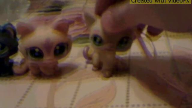 lps:music video: А закаты алые... смотреть онлайн