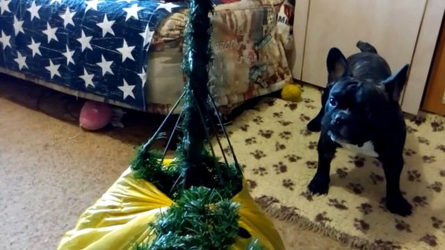 Ты кто?! Зачем пришла?! смотреть онлайн