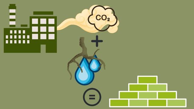 Вопроскин серия 9 (Почему лист зеленый?) смотреть онлайн