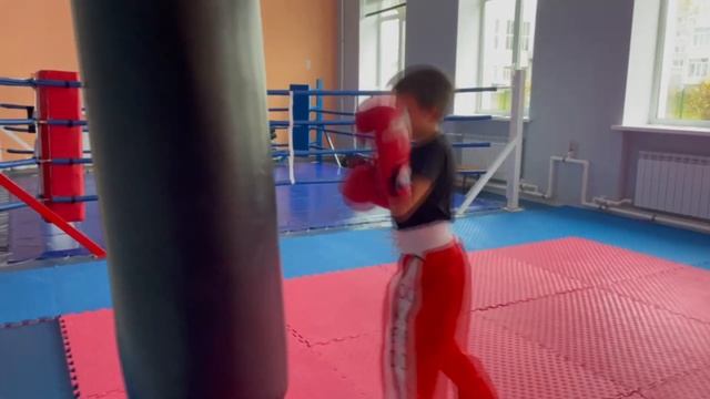 Скворцов Алексей "Мой любимый вид спорта Кикбоксинг" смотреть онлайн