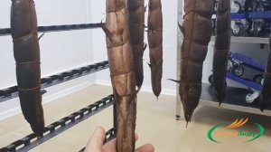 Мини-завод по переработке рыбы ХМАО Югра г.Белоярский