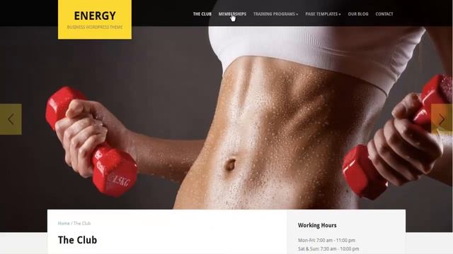 Energy WordPress Business Theme смотреть онлайн