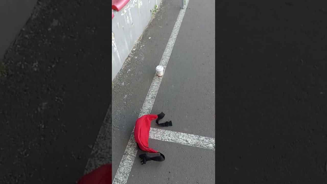 Числовая прямая