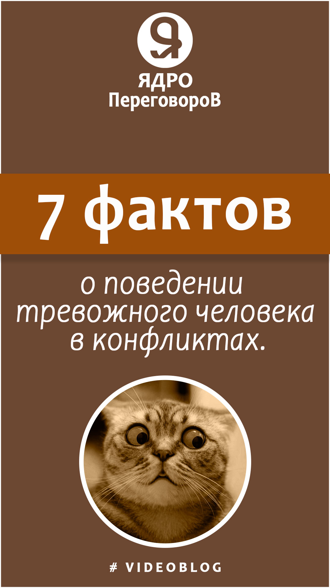 7 фактов о поведении тревожного человека в конфликтах. смотреть онлайн